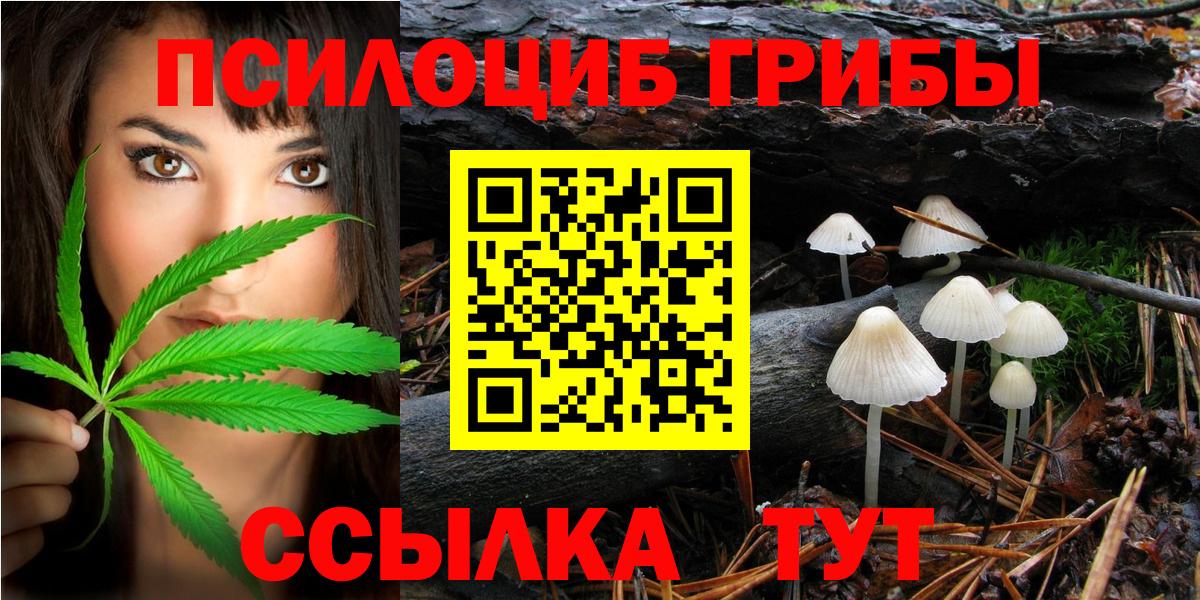 Галлюциногенные грибы Magic Shrooms Магадан