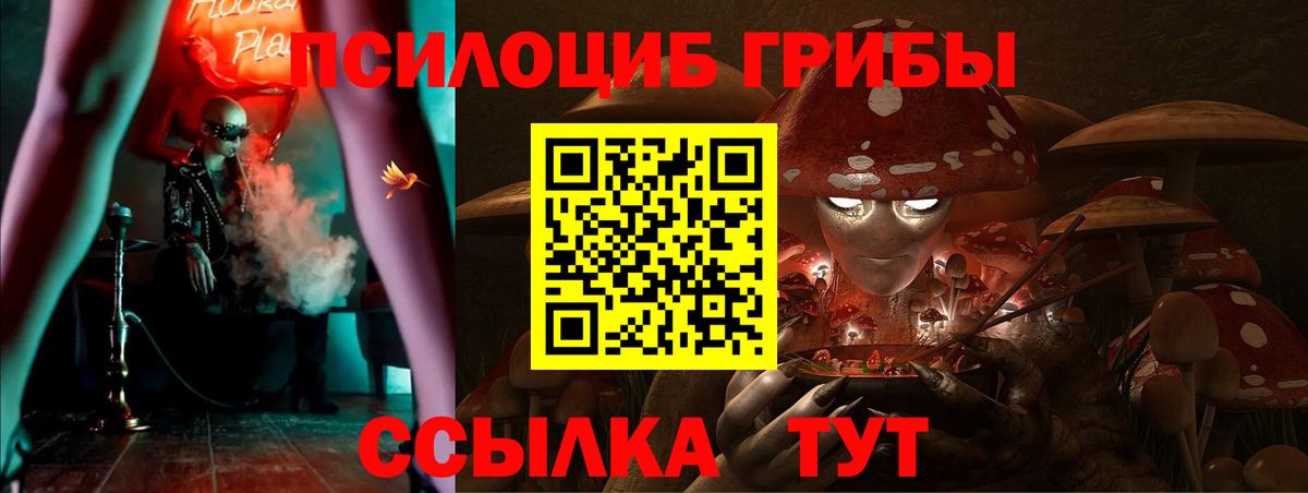 Галлюциногенные грибы GOLDEN TEACHER  продажа наркотиков  Вход с VPN  Магадан  Псилоцибиновые грибы Cubensis 